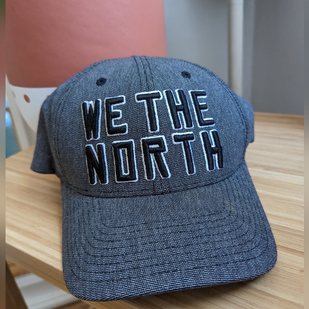 Raptors baseball hat - We The North